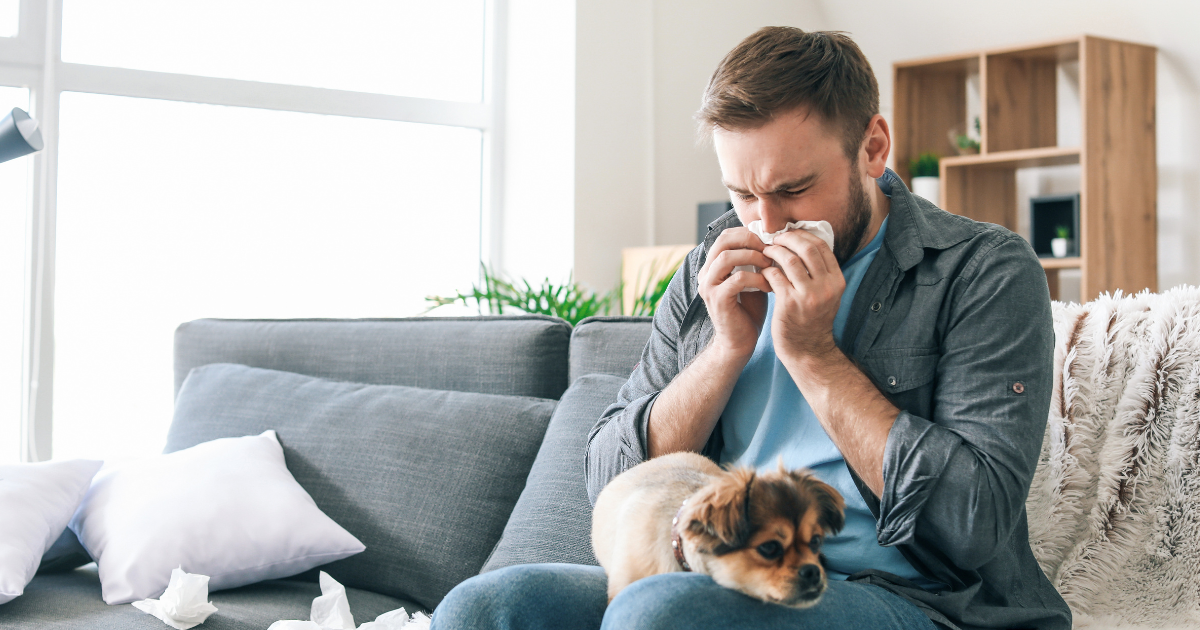 Winter’s Allergy Arsenal: Tips and Tricks to Combat Indoor Allergens